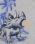 Pijama longo infantil 4 peças listras mescla triceratops multicor | - Imagem 3